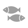 &Iacute;cone Peixe